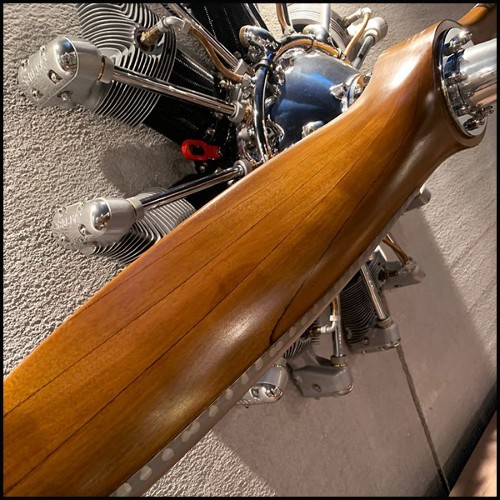 Wall decoration propeller and Jacob aircraft PC-Stellar Aircraft