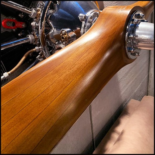 Wall decoration propeller and Jacob aircraft PC-Stellar Aircraft