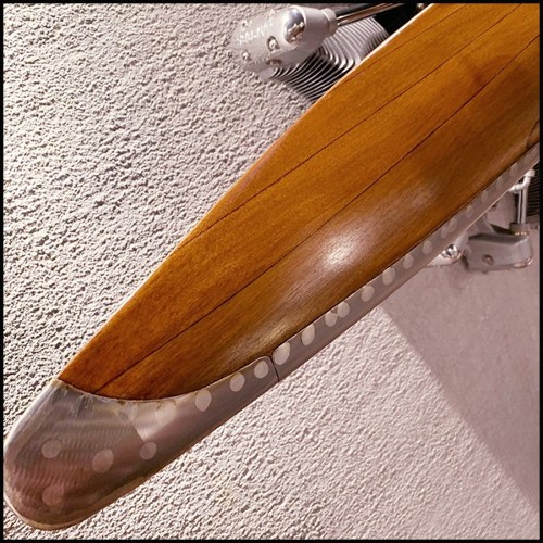 Wall decoration propeller and Jacob aircraft PC-Stellar Aircraft