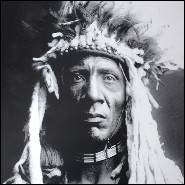 Décoration Murale 24 - Weasel Tail - Tendance - Pacific Compagnie.