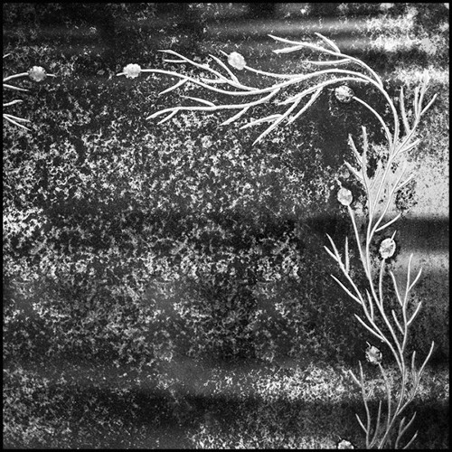 Paravent 182- Twiggy