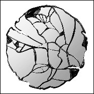 Miroir 145- Oversized Black