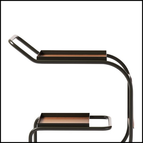 Trolley 107- Stewart Kaki