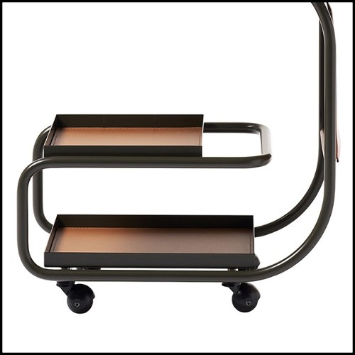 Trolley 107- Stewart Kaki