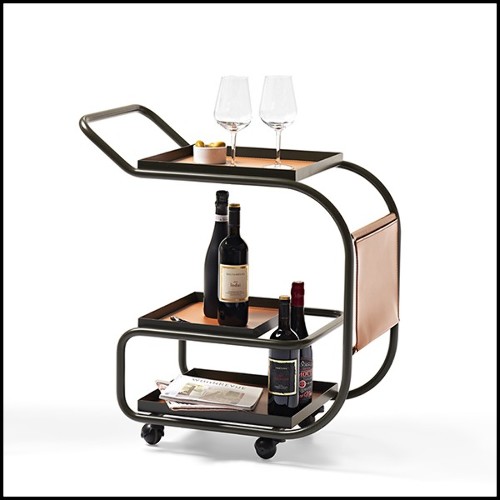 Trolley 107- Stewart Kaki