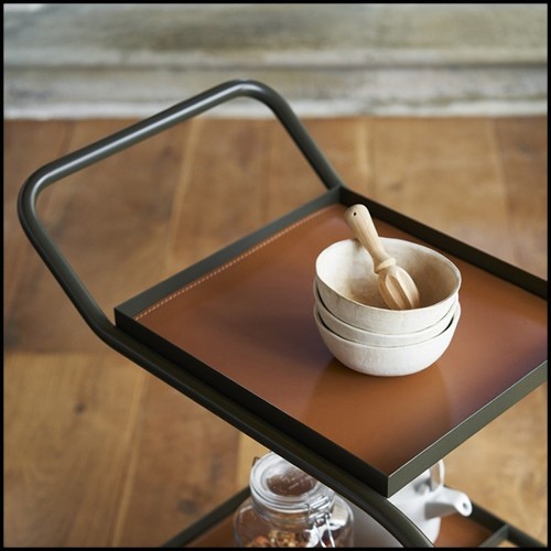 Trolley 107- Stewart Kaki