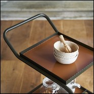 Trolley 107- Stewart Kaki