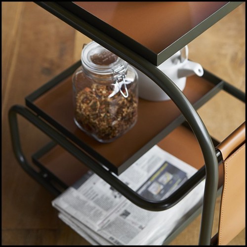 Trolley 107- Stewart Kaki