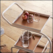 Trolley 107- Stewart White