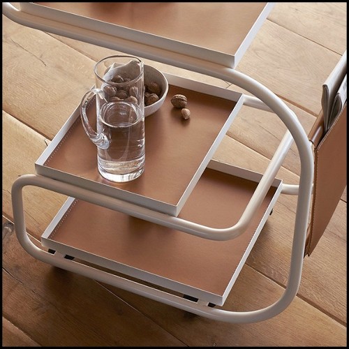 Trolley 107- Stewart White