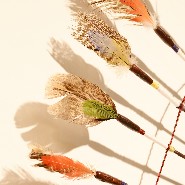 Headdress PC- Indian Tribe