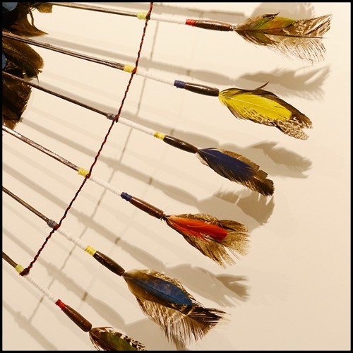 Coiffe PC- Indian Tribe