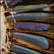 Headdress PC- Indian Tribe