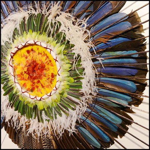 Coiffe PC- Indian Tribe