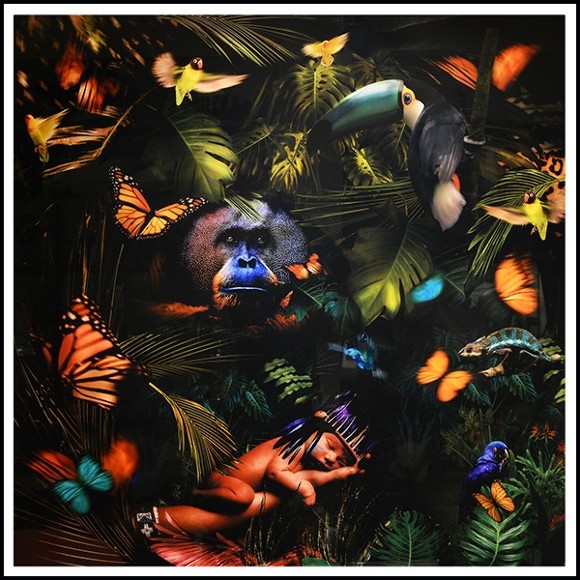 Décoration Murale PC- Jungle Birth Plexiglas