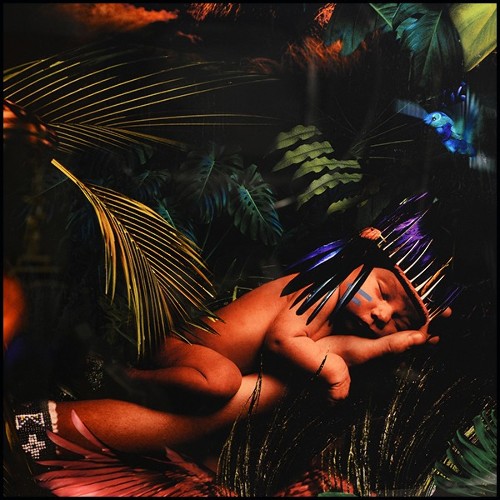 Décoration Murale PC- Jungle Birth Plexiglas