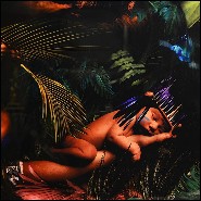 Décoration Murale PC- Jungle Birth Plexiglas