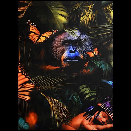 Décoration Murale PC- Jungle Birth Plexiglas