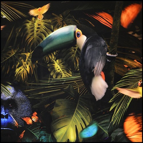 Décoration Murale PC- Jungle Birth Plexiglas