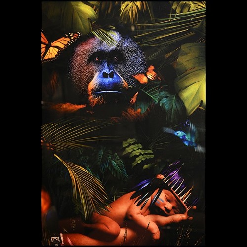 Décoration Murale PC- Jungle Birth Plexiglas