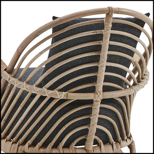 Fauteuil 41- Carlotta