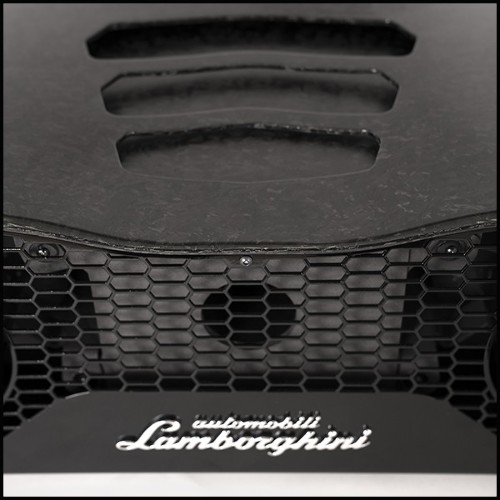 Speaker 215- Lamborghini Carbon