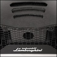 Speaker 215- Lamborghini Carbon