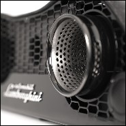 Speaker 215- Lamborghini Carbon