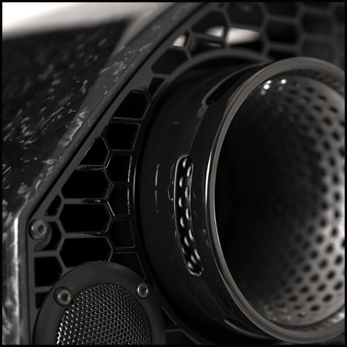 Enceinte 215- Lamborghini Carbon