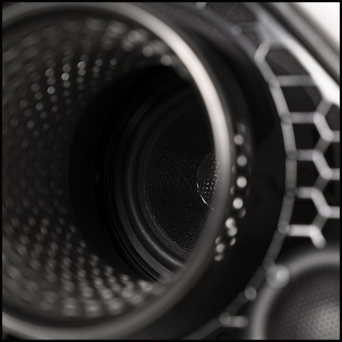 Speaker 215- Lamborghini Carbon