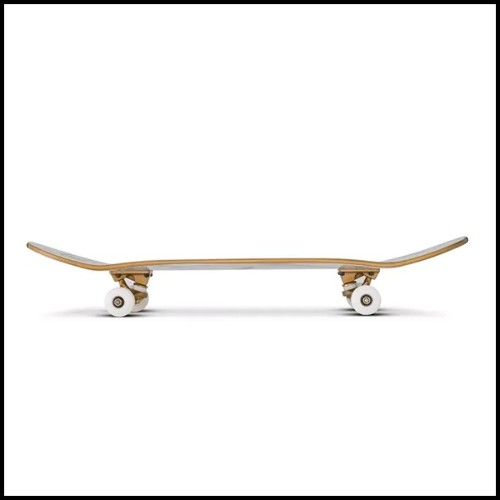 Skateboard 24- Shock