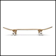 Skateboard 24- Shock