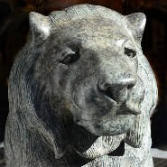 Sculpture de Lion 38-Lion