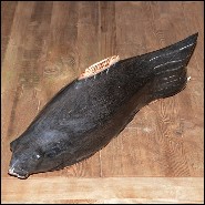 Sculpture PC- Poisson pétrifié n°A