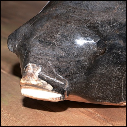 Sculpture PC- Poisson pétrifié n°A