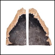 Bookends PC- Mountain Petrified