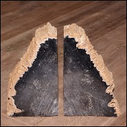 Bookends PC- Mountain Petrified