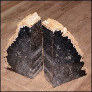 Bookends PC- Mountain Petrified