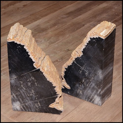 Bookends PC- Mountain Petrified