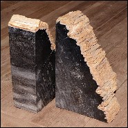 Bookends PC- Mountain Petrified