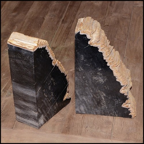 Bookends PC- Mountain Petrified