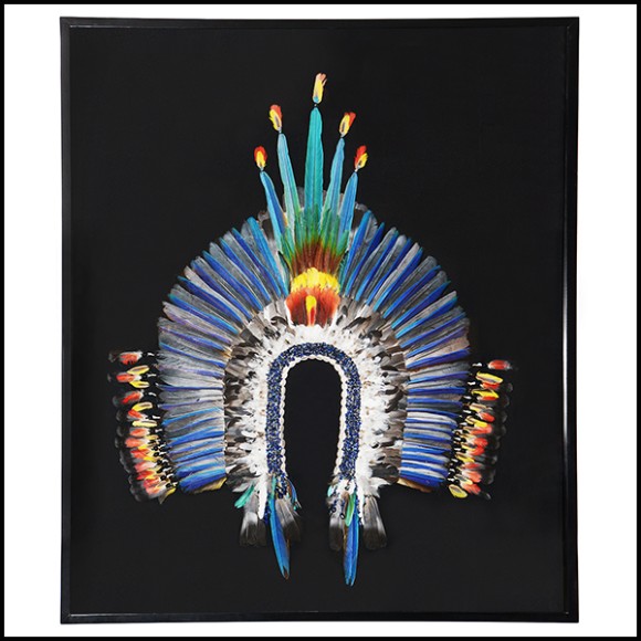 Headdress PC- Kayapo