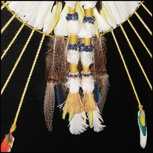 Headdress PC- Indian Tribe Kayapo