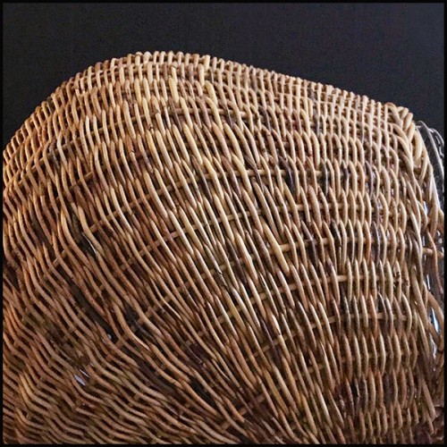 Fan Gervasoni - Bulrush