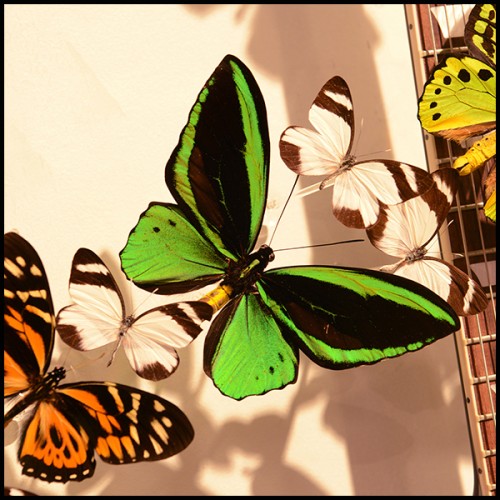 Guitar PC - Butterflies AC DC - Collectible Guitar PC- Butterflies AC DC, ideal for music enthusiasts - Pacific Compagnie.