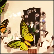 Guitar PC - Butterflies AC DC - Exclusive Guitar PC- Butterflies AC DC, with intricate details - Pacific Compagnie.