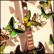 Guitar PC - Butterflies AC DC - Guitare colorée papillon - Pacific Compagnie.