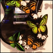 Guitar PC - Butterflies AC DC - Unique Guitar PC- Butterflies AC DC, with a beautiful butterflies pattern - Pacific Compagnie.