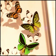 Guitar PC - Butterflies AC DC - Guitare rock papillon - Pacific Compagnie.