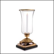 Hurricane 24 - Tortoise - Jardin Pacific Compagnie.